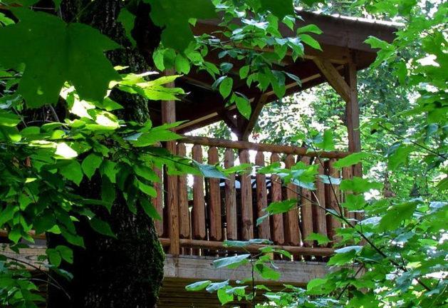 #2903 Abundantly Blessed Villa Pigeon Forge Dış mekan fotoğraf