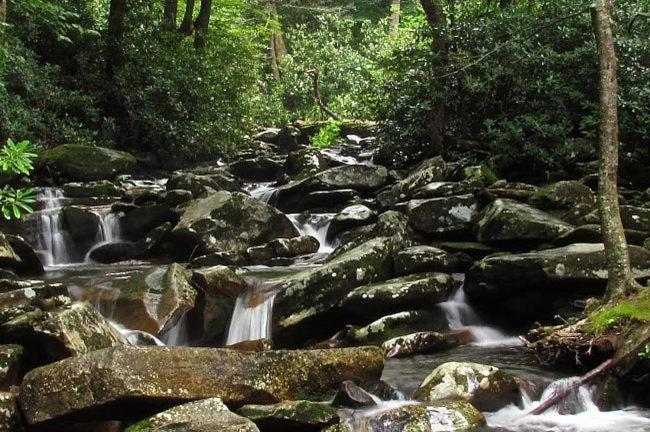 #2903 Abundantly Blessed Villa Pigeon Forge Dış mekan fotoğraf